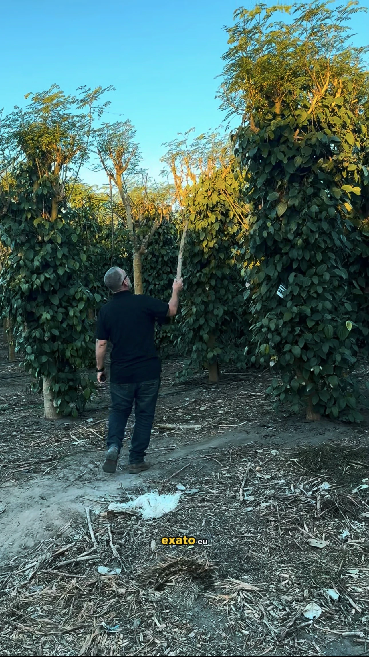 Experiência prática da Erasmo Agro no campo — imagem 37 de 38